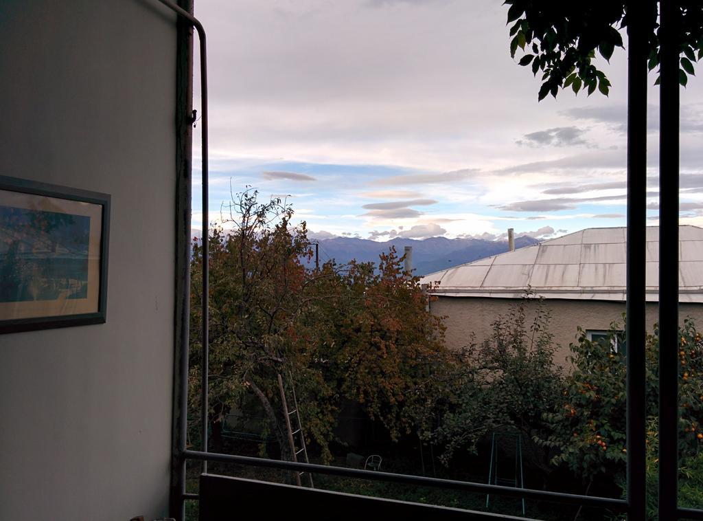Guesthouse Natali Telavi Kültér fotó
